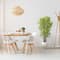 5ft. Bamboo Tree with Black Trunks in Decorative White Planter